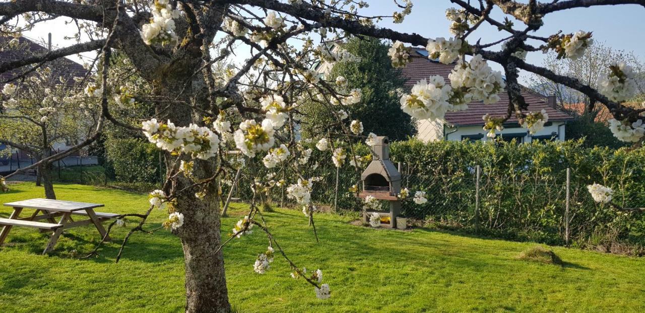 Maison De Vacances Freconrupt La Broque Exterior foto